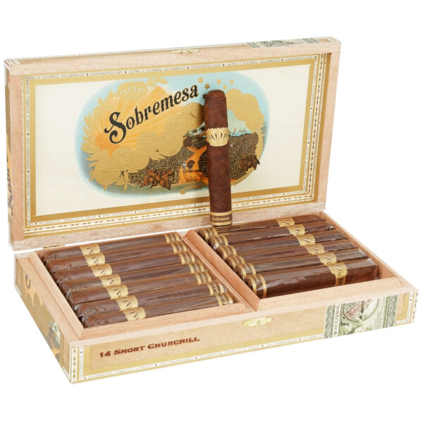 DTT Sobremesa Solita Short Churchill - Image 2