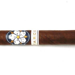 Room101 FARCE Maduro
