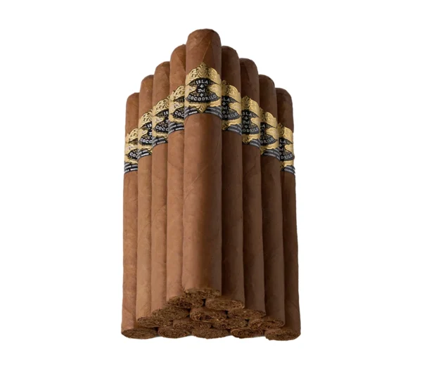 Cocodrilo Corona Gorda - Image 2
