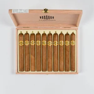 La Colmena No. 44