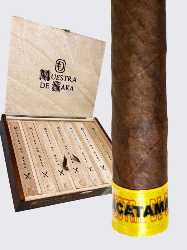 DTT Muestra de Saka Nacatamale